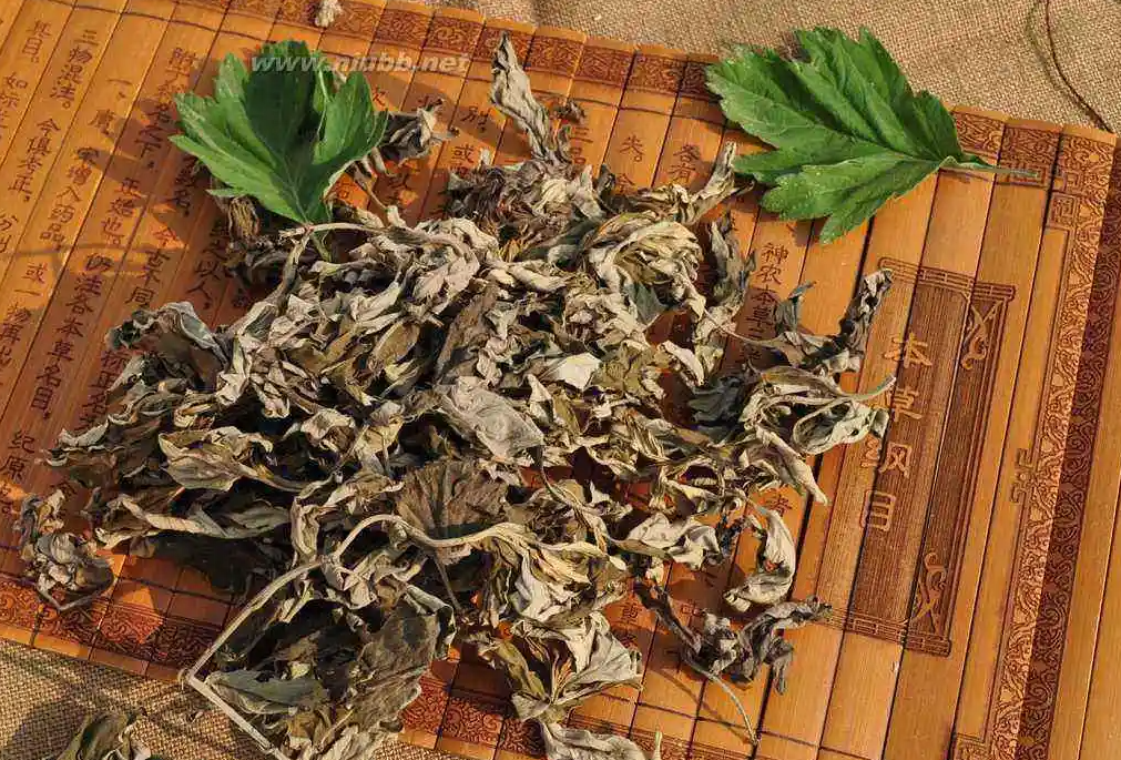 冬日头皮干痒不适，怎么办？